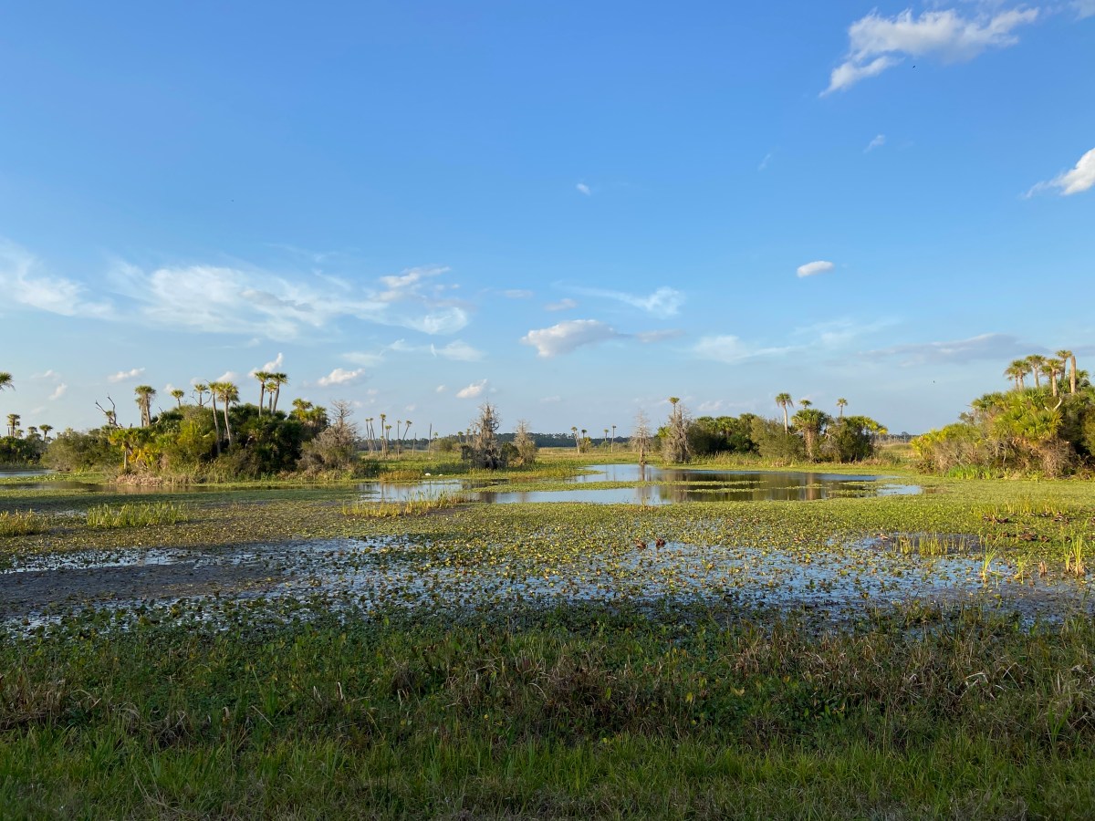 Orlando Wetlands Park
