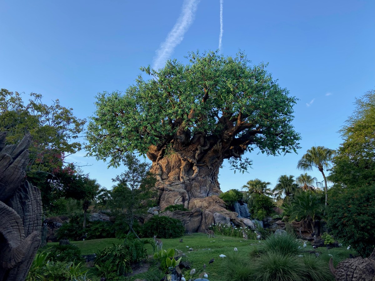 My Guide to Disney’s Animal&nbsp;Kingdom