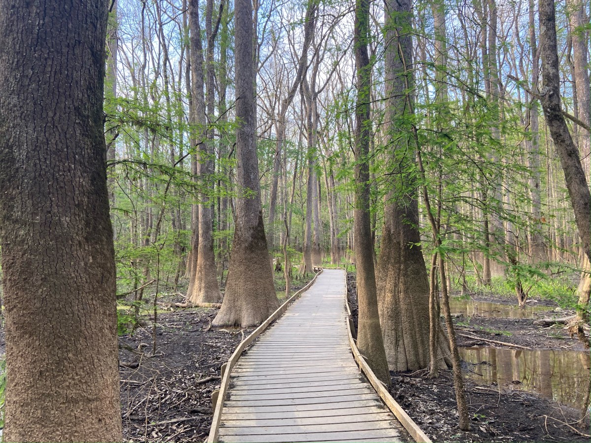 My Favorite Parks in&nbsp;Columbia