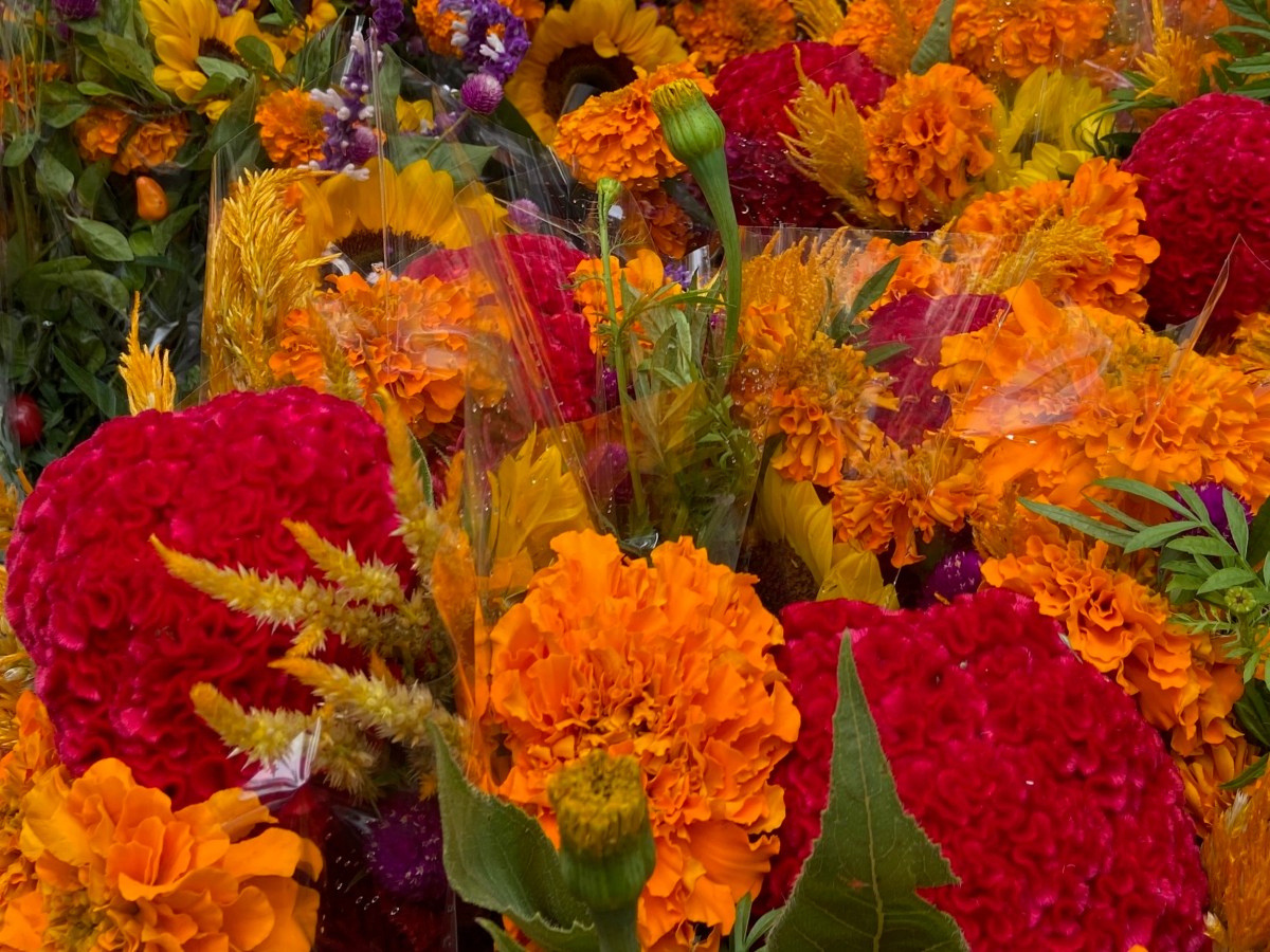 Best Places to Visit in the US for&nbsp;Halloween