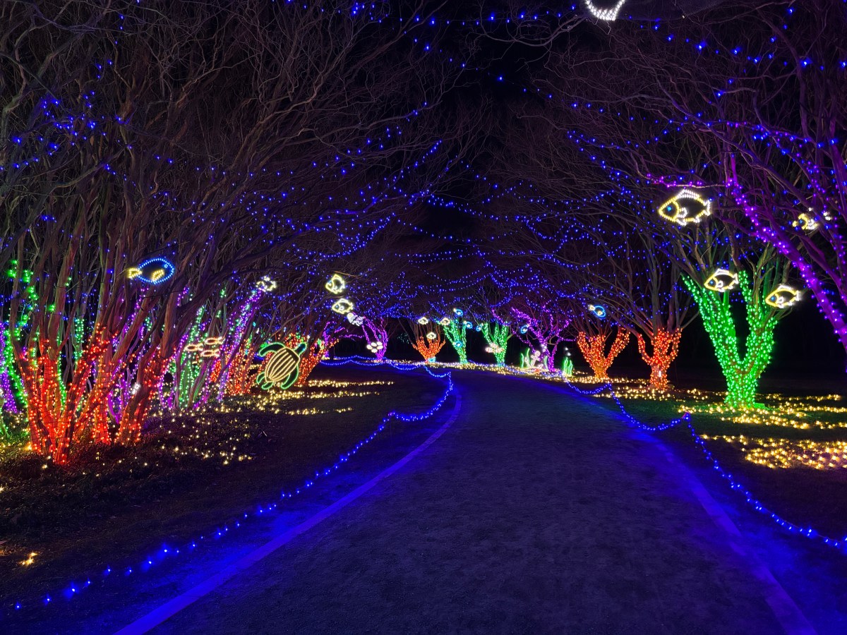 My Trip to Southeastern&nbsp;Virginia