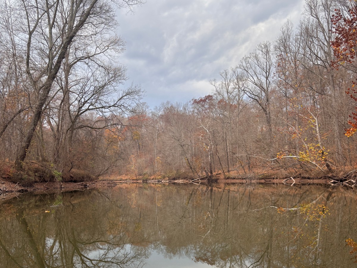 My Favorite Parks in Northern&nbsp;Virginia